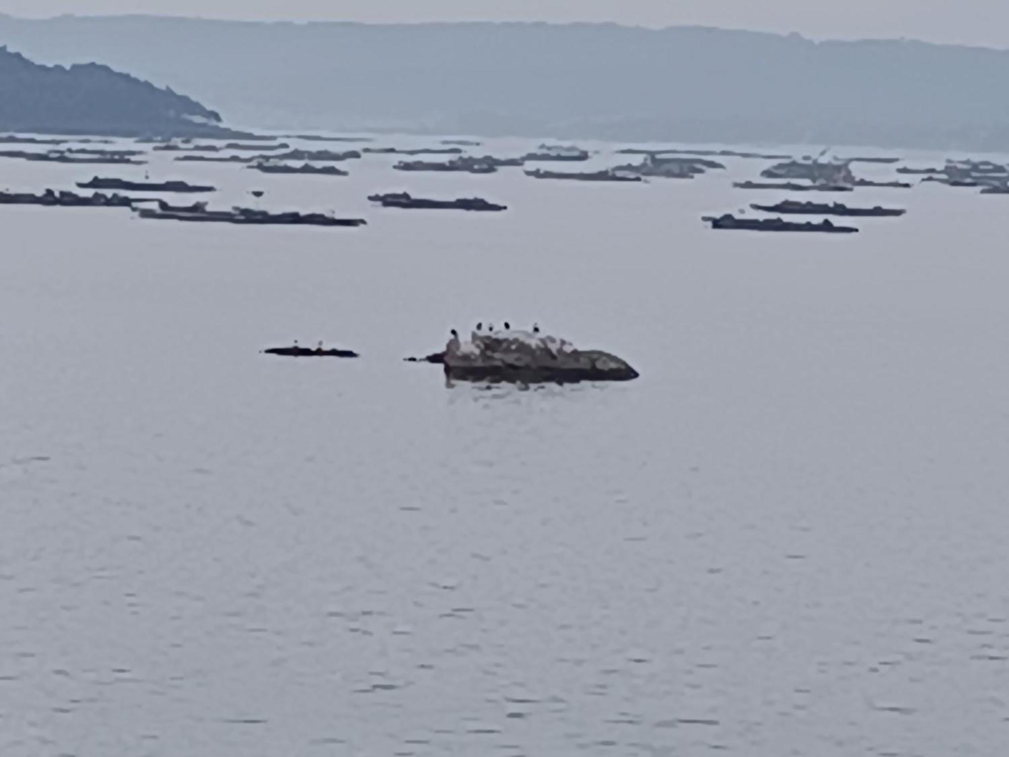 شقة Mirador Mar De Castelao, 1ª Linea De Playa Urbana فيلانويفا دي أروسا المظهر الخارجي الصورة